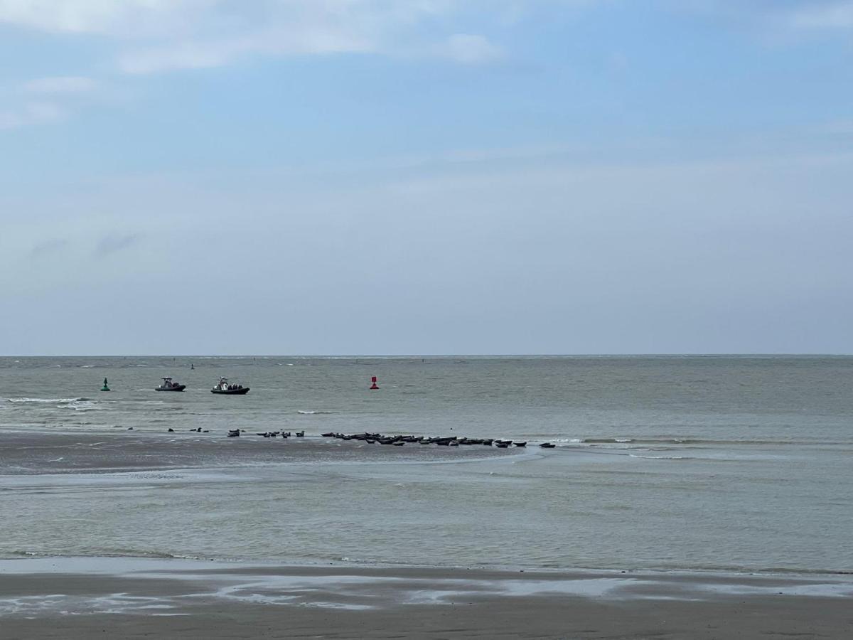 A 50m Reves Ensoleilles Les Bains De Appartement Mers-les-Bains