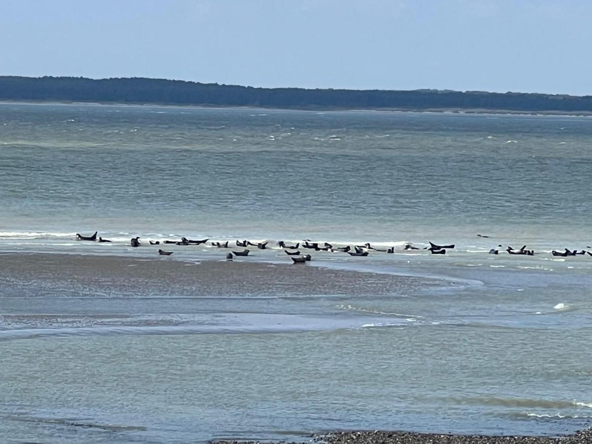 A 50m Reves Ensoleilles Les Bains De Appartement Mers-les-Bains